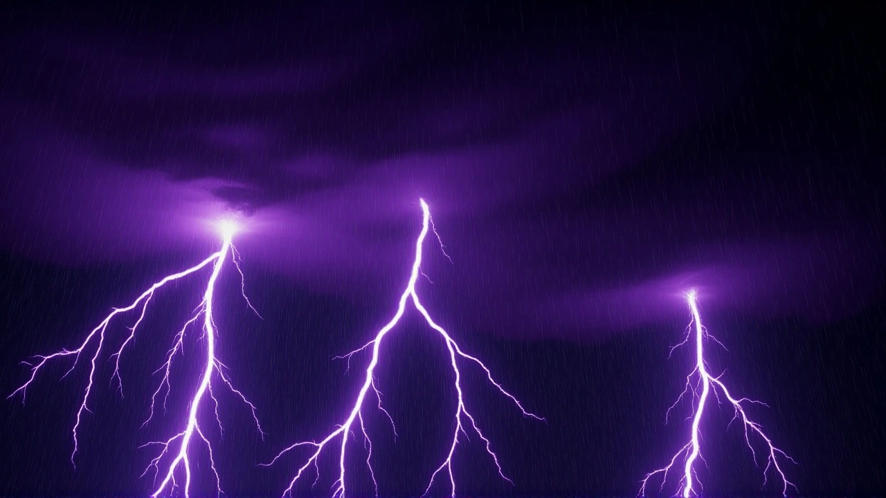 ما الذي سيحدث بعد ذلك؟