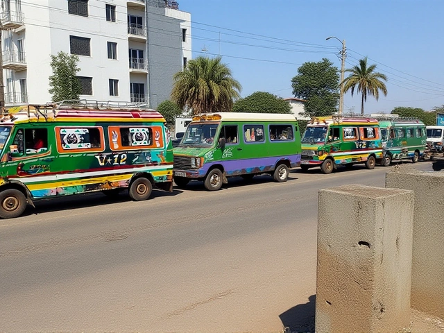 الولايات المتحدة تُقدّم دعماً أمنياً لمالي مقابل الوصول إلى معادنها الحيوية في ظل حصار وقود من جماعة جند الإسلام