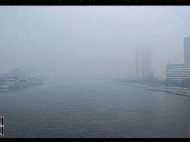 شبورة كثيفة وأمطار خفيفة تضرب مصر الخميس.. والصقيع يعود الجمعة