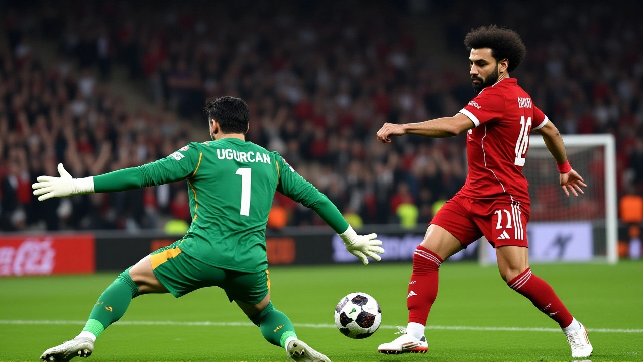 ماذا بعد هذه المعركة؟