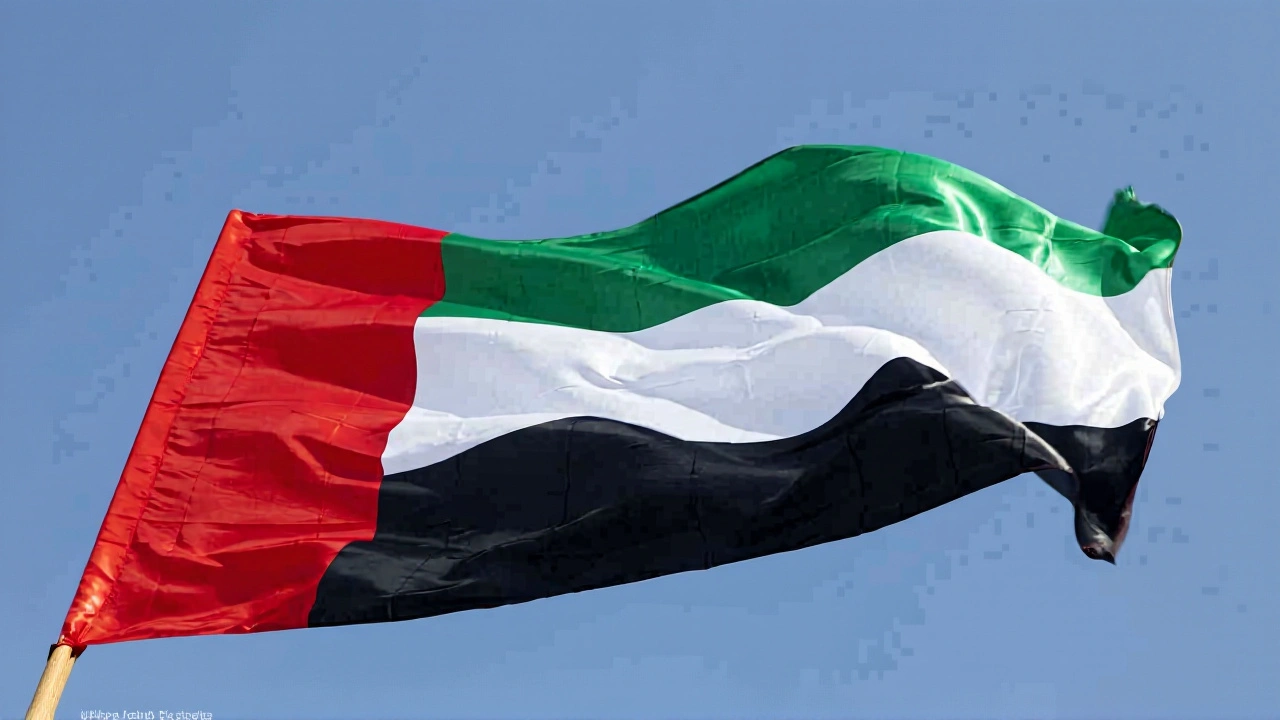 الإمارات تدين هجمات إرهابية على قواعد عسكرية في الأردن وتشاد