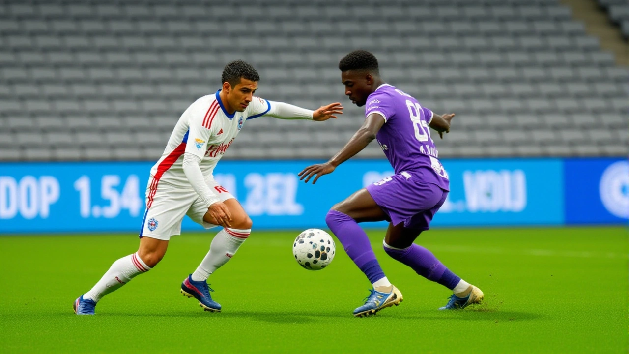 ما هو الخطط القادمة؟