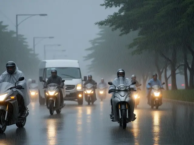 Nam Bộ mưa lớn kéo dài đến 29/7, TP.HCM cảnh báo lốc và gió giật