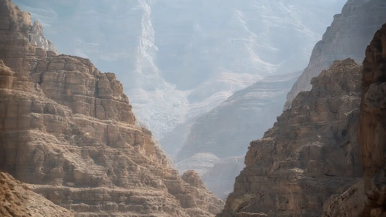 استجابة حكومية وتنسيق إقليمي